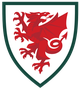 威爾士女足U16 logo